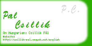 pal csillik business card